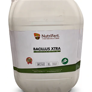BACILLUS XTRA BIOESTIMULANTE Y BIOFUNGICIDA 20 LITROS NUTRIFERT 