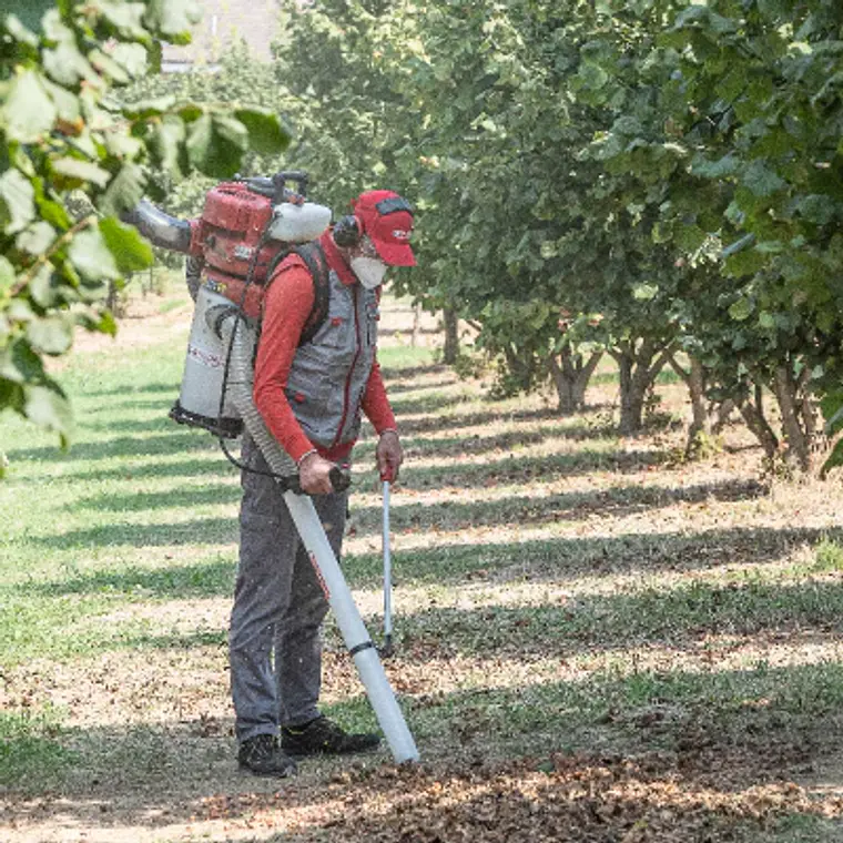 Aspirador Cifarelli V1200E – Aspiradora Profesional de Hojas Potente y Eficiente 3