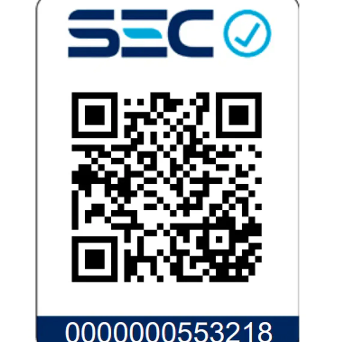 Motosierra Toyama 45cc 16