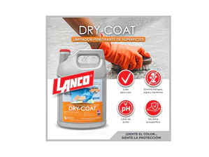 LIMPIADOR SUPERFICIES DRY COAT CLEANER 1GL