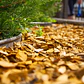Mulch Amarillo - 30 lts - Miniatura 2