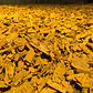 Mulch Amarillo - 30 lts - Miniatura 1