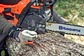 Motosierra Husqvarna 135 Mark II 16” – Potente, Confiable y Fácil de Usar - Miniatura 2