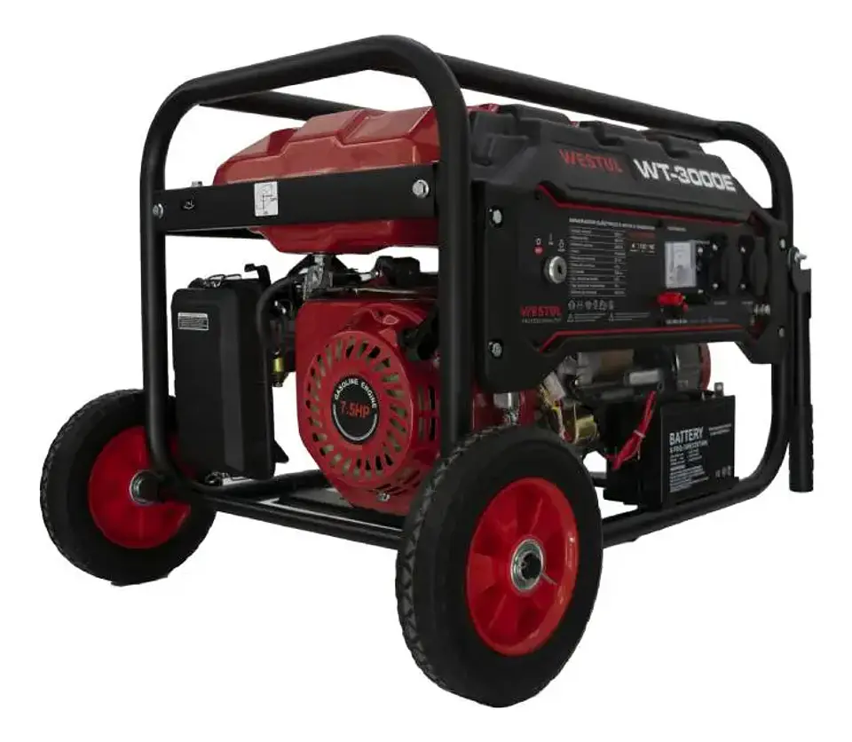 GENERADOR GASOLINA 3,2 KVA WT-3000E 2