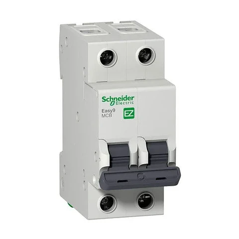 Automatico Bipolar 63A-Schneider