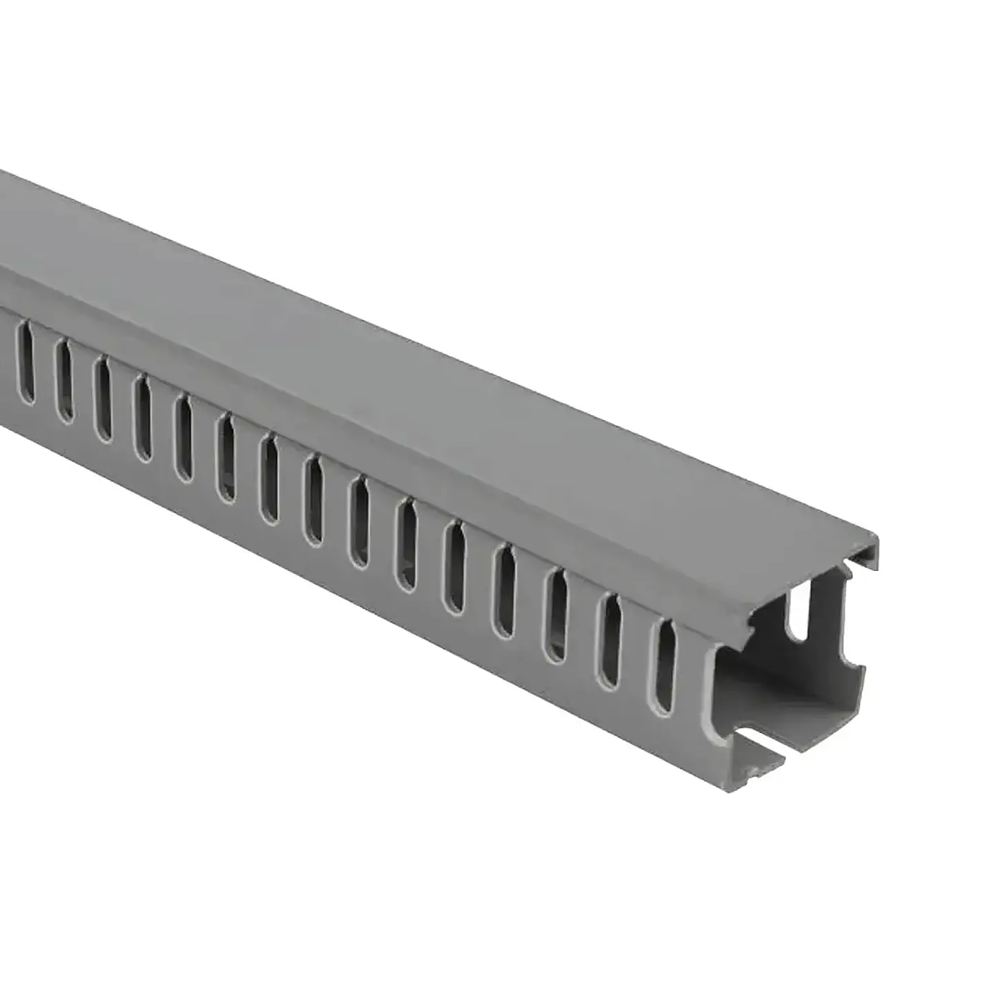 Canaleta Ranurada 30X20 2Mts -Cnc 1