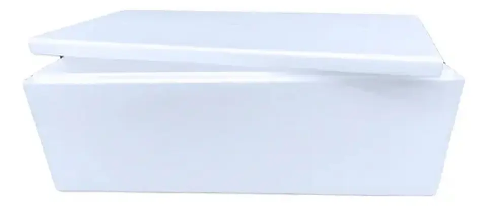 CAJA AISLAPOL 60L 1