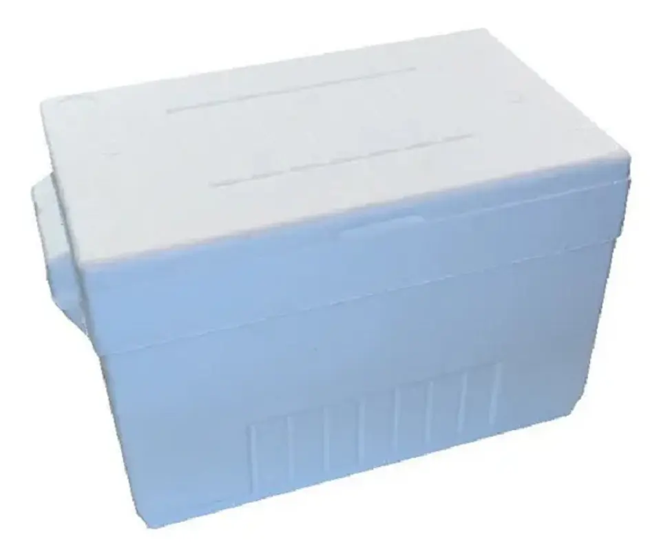 CAJA AISLAPOL PICNIC 28L 1