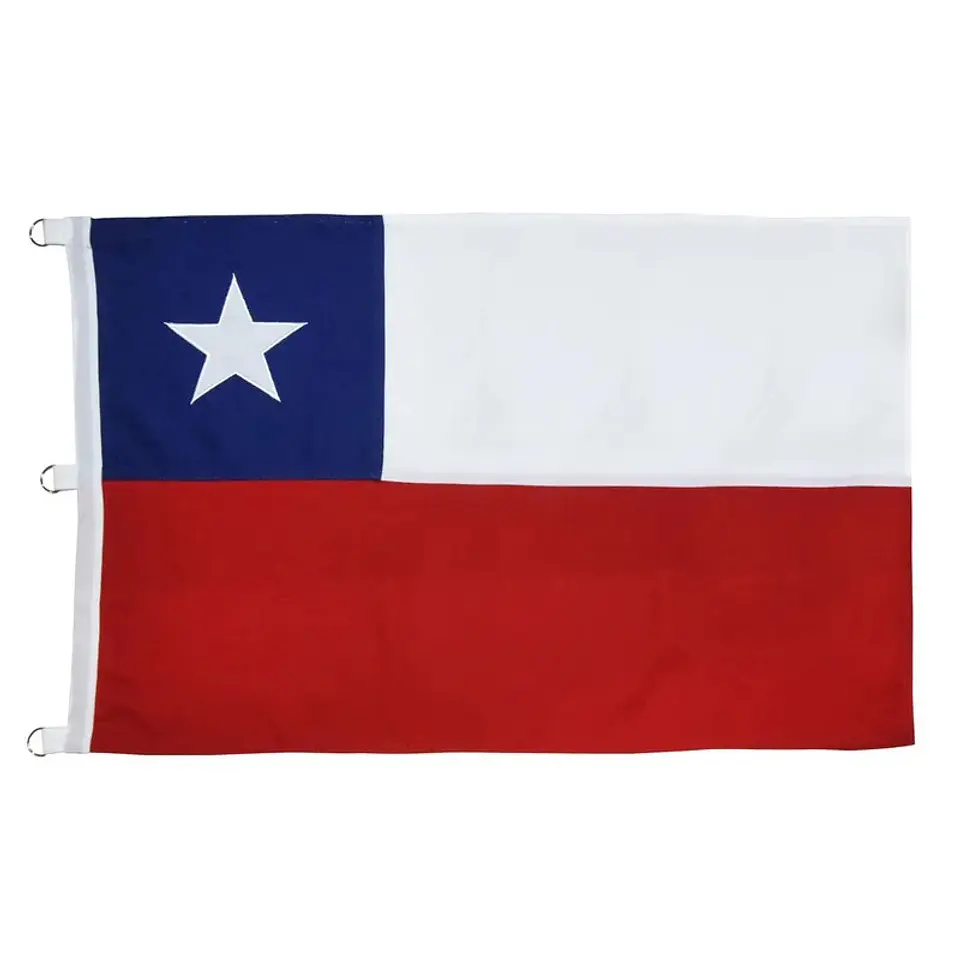 BANDERA CHILENA 60 X 90CM 1