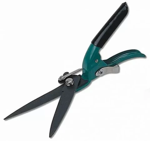 TIJERON GREEN SEASONS FIJO