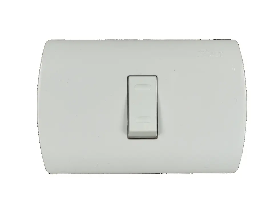 INTERRUPTOR EMBUTIDO 9-24 GRAND 1