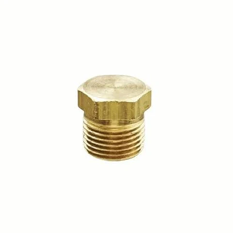 TAPON PARA REGULADOR DE 45KG