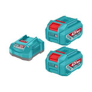 KIT CARGADOR + 2 BATERÍAS 42V 2,5 AH