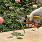 TIJERAS PROFESIONALES PARA PODAR BYPASS JARDIN 8