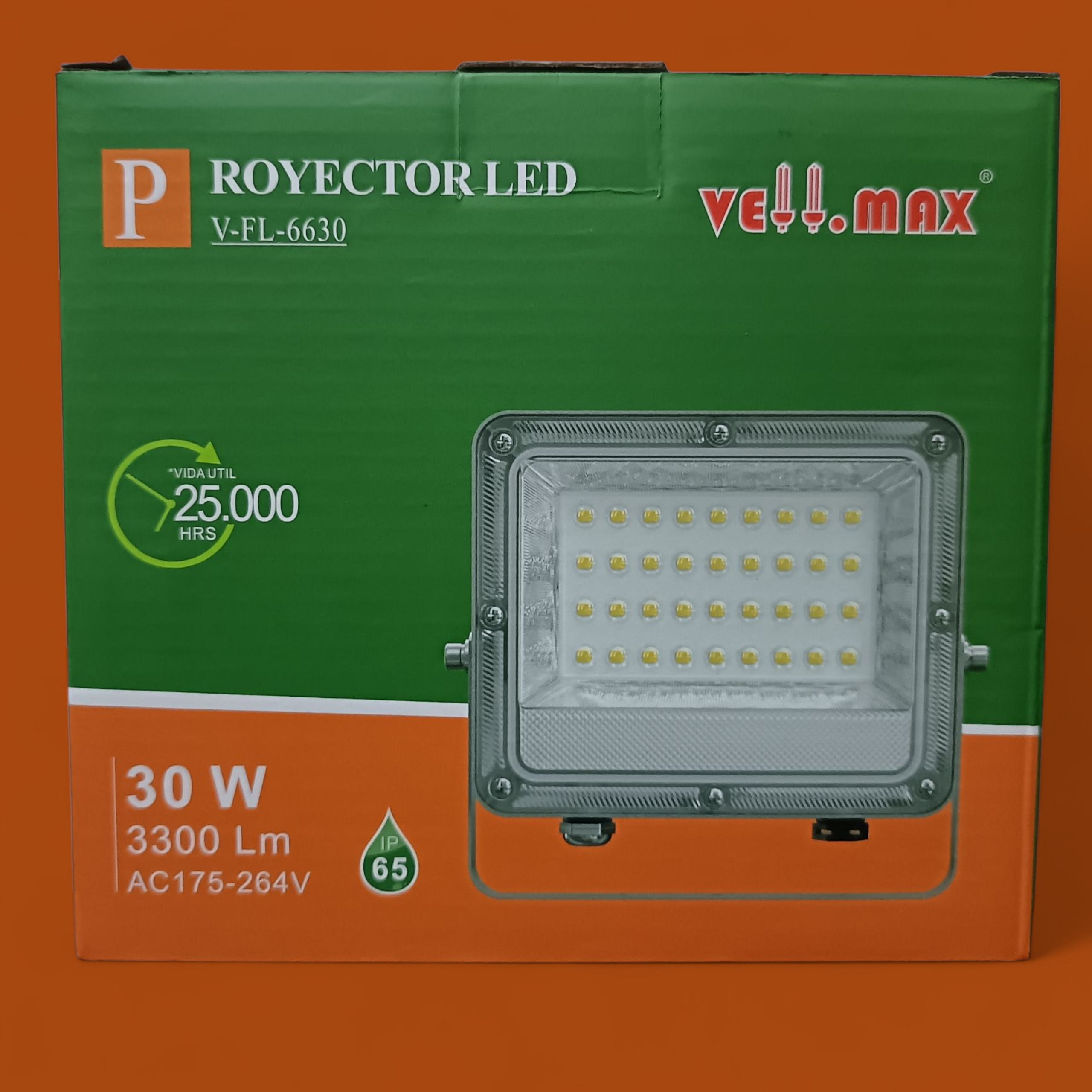 FOCO PROYECTOR LED 30W 3