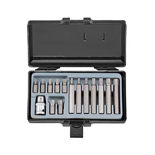 Juego de Puntas Torx Cortas y Largas T20-T55 – 15 Piezas Profesional Force 4156
