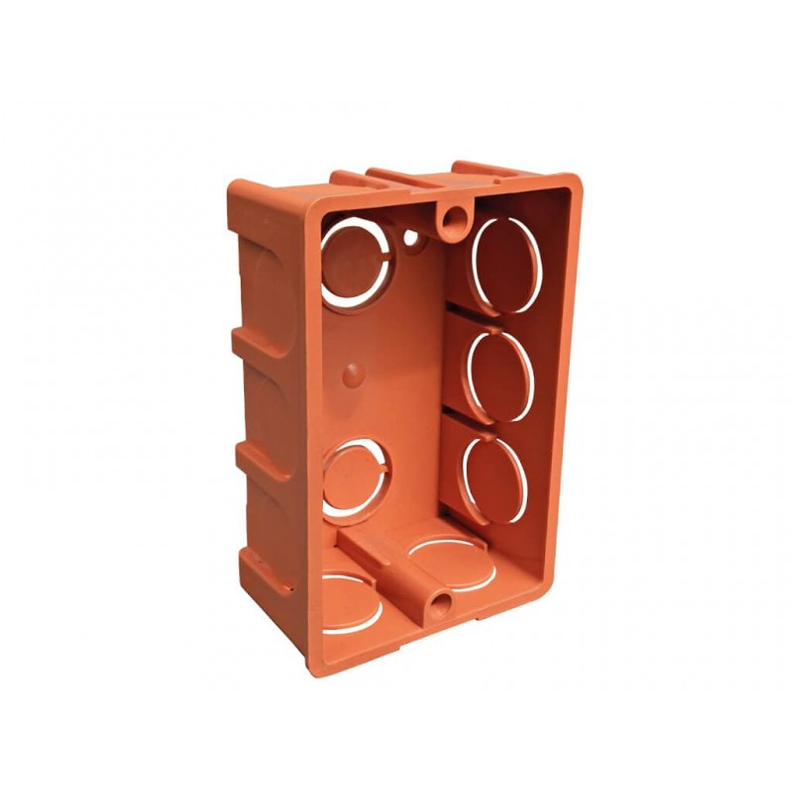 CAJA DISTRIBUCION ECONOMICA STANDARD 1