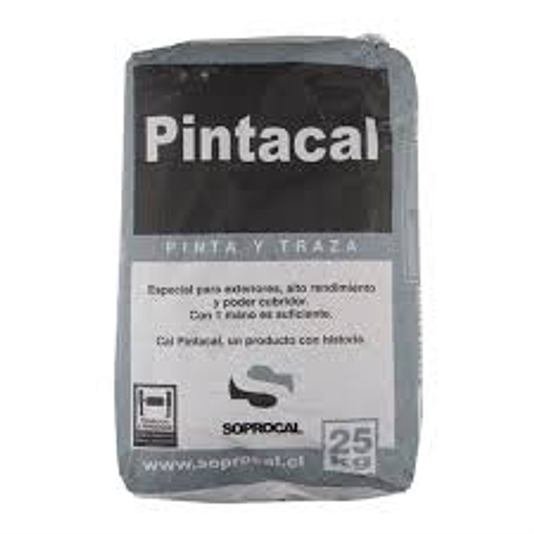 CAL PINTACAL SACO 25 KG.(40)044230 1