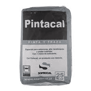 CAL PINTACAL SACO 25 KG.(40)044230