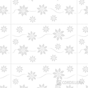 CORDILLERA 27X45 FIORE (2.07-17)IFIOECP24CV