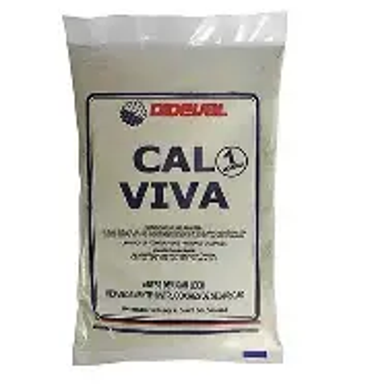 CAL VIVA MOLIDA DIDEVAL 1 KG 1