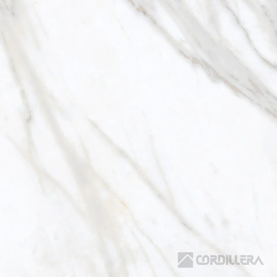 CORDILLERA 45X45 VENICE ANTISLIP (2.29-11)(44)IVEANCP24KV 3