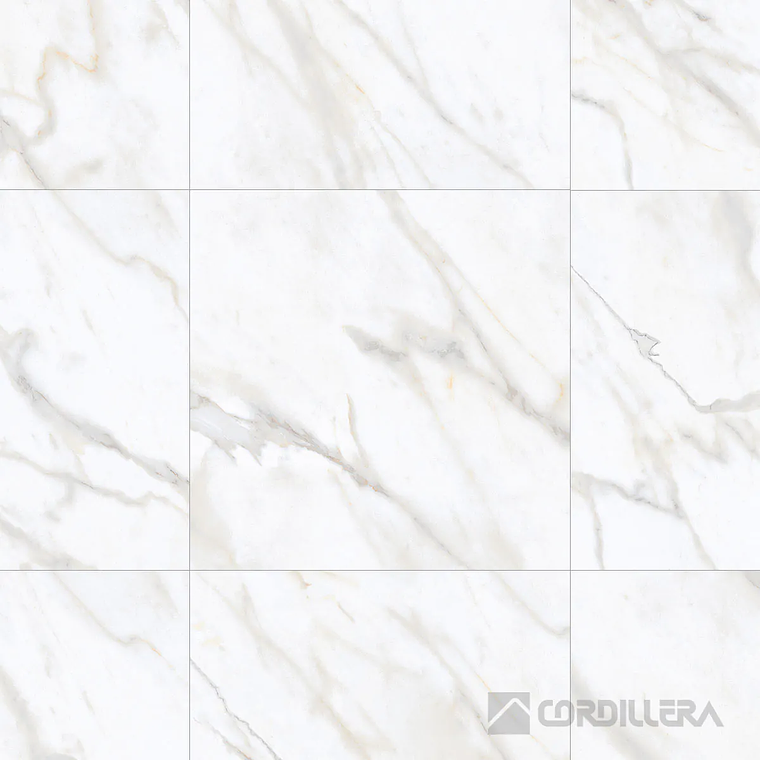 CORDILLERA 45X45 VENICE ANTISLIP (2.29-11)(44)IVEANCP24KV 3