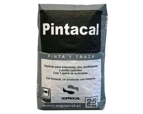 CAL PINTACAL SACO 25 KG.(40)044230