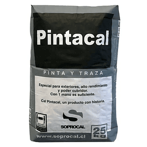 CAL PINTACAL SACO 25 KG.(40)044230