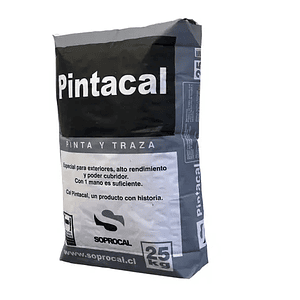 CAL PINTACAL SACO 25 KG.(40)044230