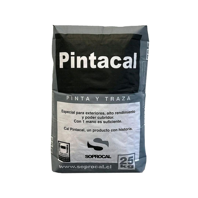 CAL PINTACAL SACO 25 KG.(40)044230 3