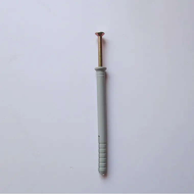 TARUGO PLASTICO C/TORNILLO 8X100 MM.PAAL-050/006004008100 1