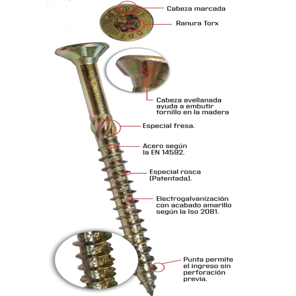 Tornillos Galvanizados Para Madera Tornillos Para Madera 5.0x60 Mm - 200 Unidades, Cabeza Torx, Acero Galvanizado Tornillos Madera