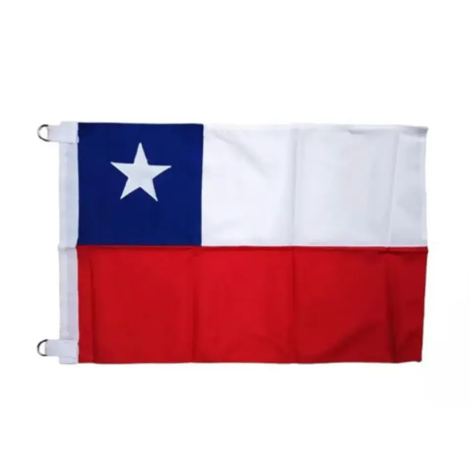 Bandera Chilena 1