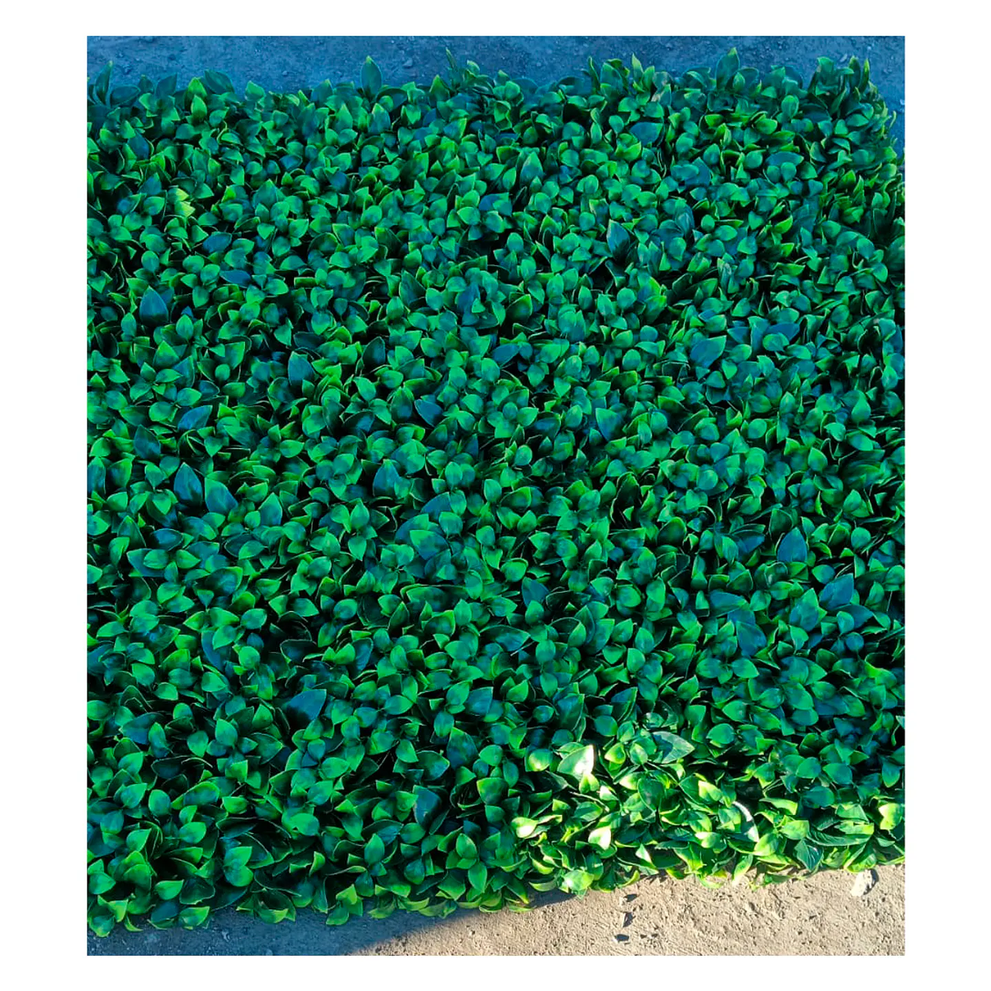 Mural Enredadera Hojas Artificial verde 100x100cm  3
