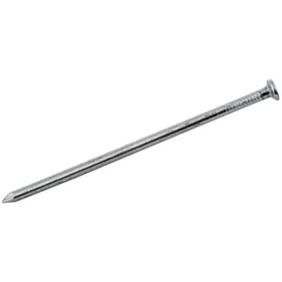 Clavos Corriente 5" 1 kilo