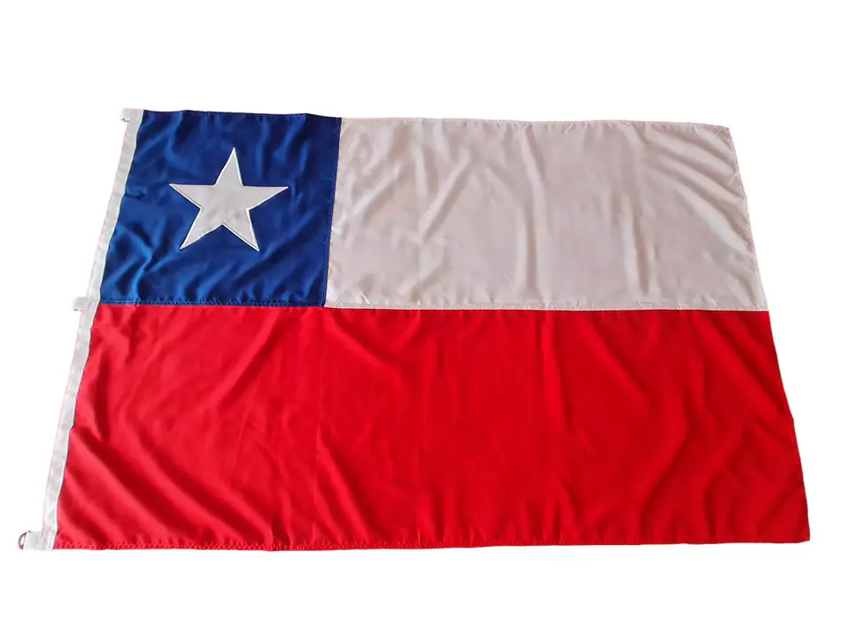 Bandera Chilena 1