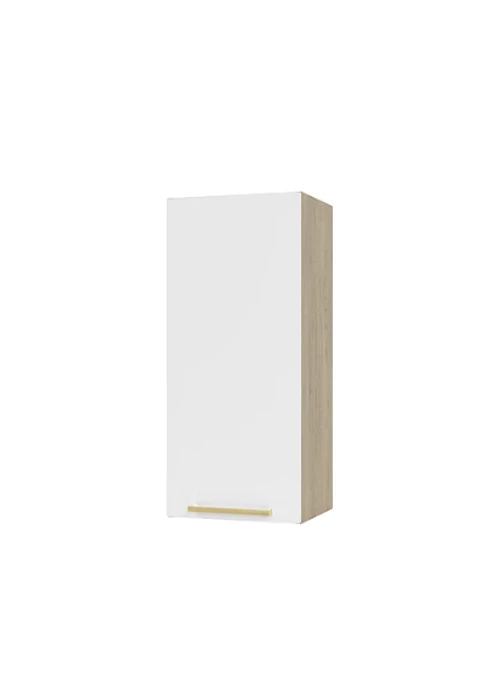 MUEBLE MURAL 350X800X305 UNA PUERTA (6)