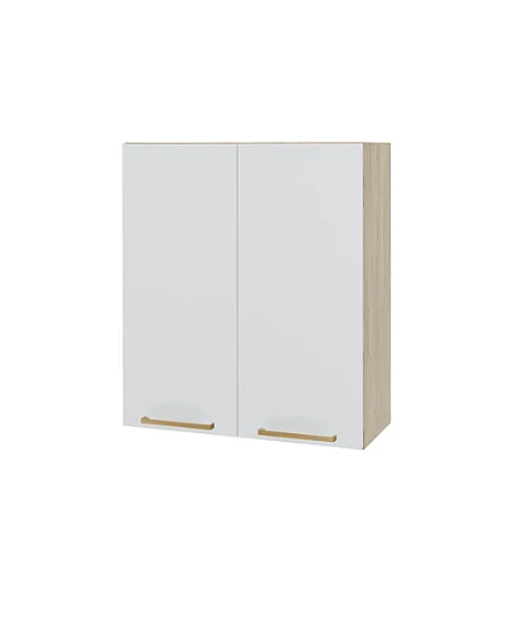 MUEBLE MURAL 700X800X305MM DOS PUERTAS (4)