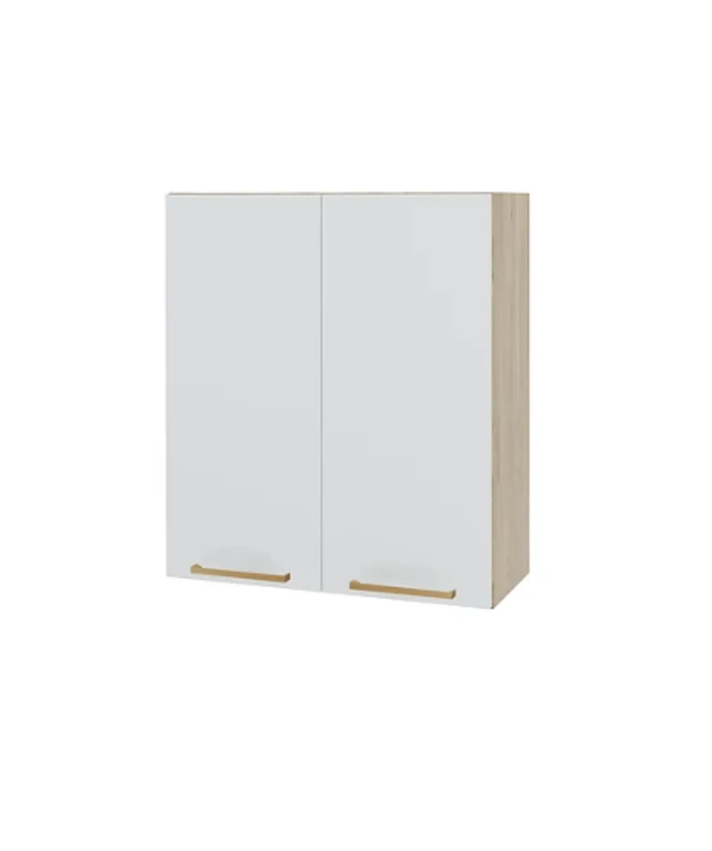 MUEBLE MURAL 700X800X305MM DOS PUERTAS (4) 1