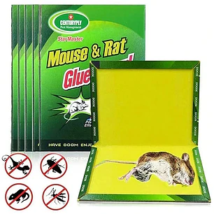 Lamina De Pegamento Atrapa Raton Pack 4 YTS