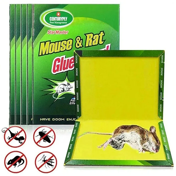 Lamina De Pegamento Atrapa Raton Pack 4 YTS 1