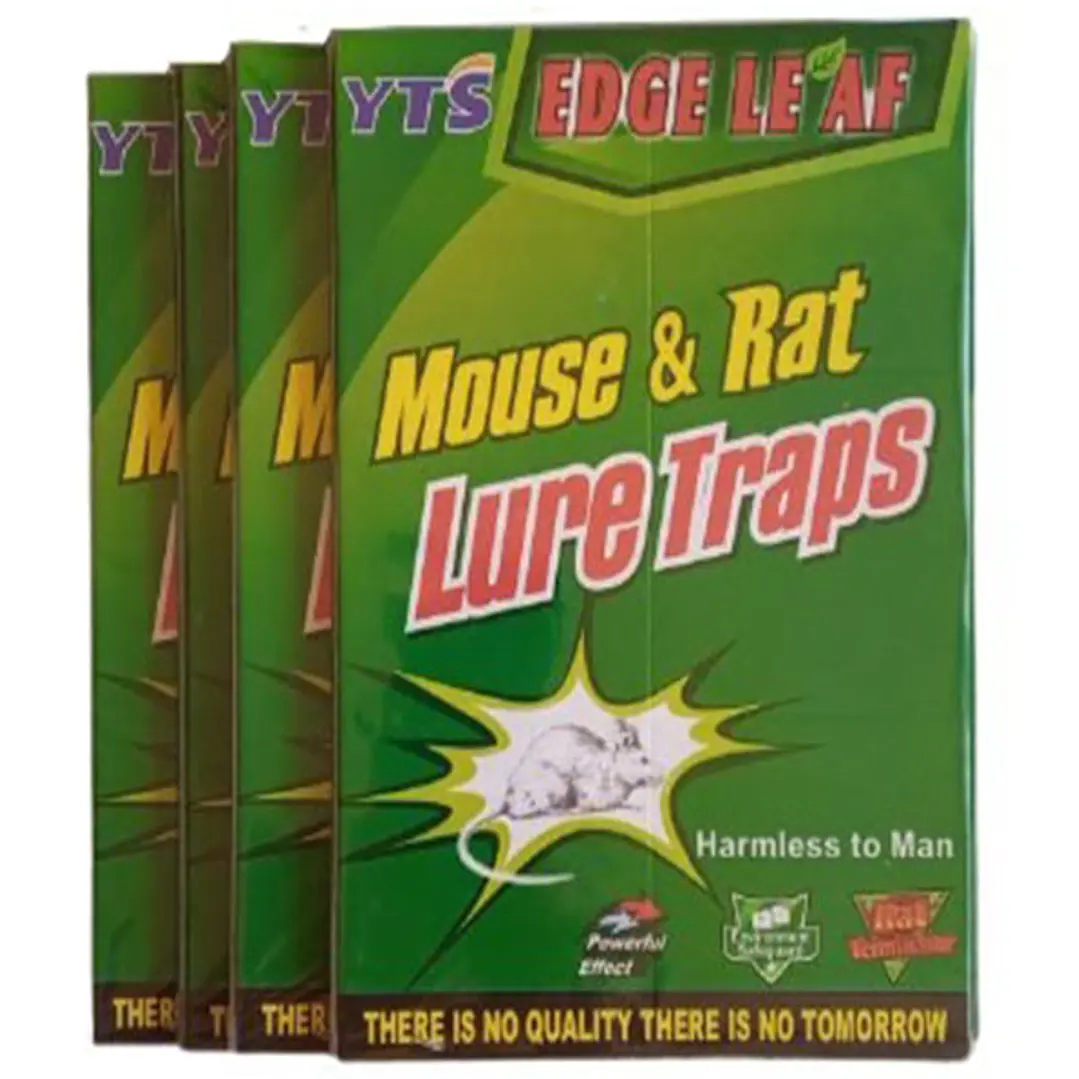Lamina De Pegamento Atrapa Raton Pack 4 YTS 3