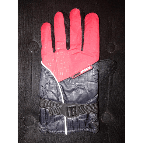 Par de Guantes Moto Invierno (GUANTE001) X15