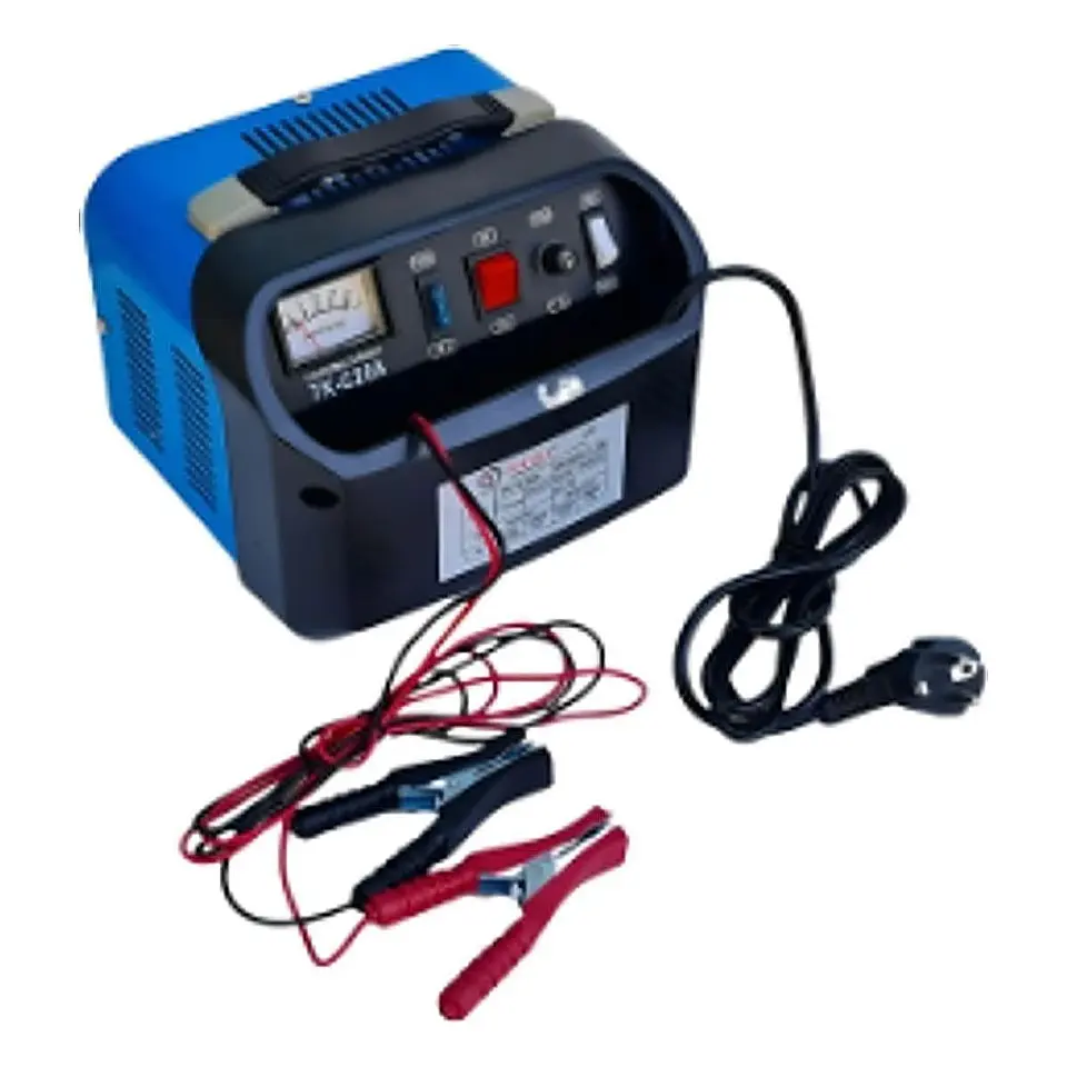 CARGADOR DE BATERÍA 20A 1