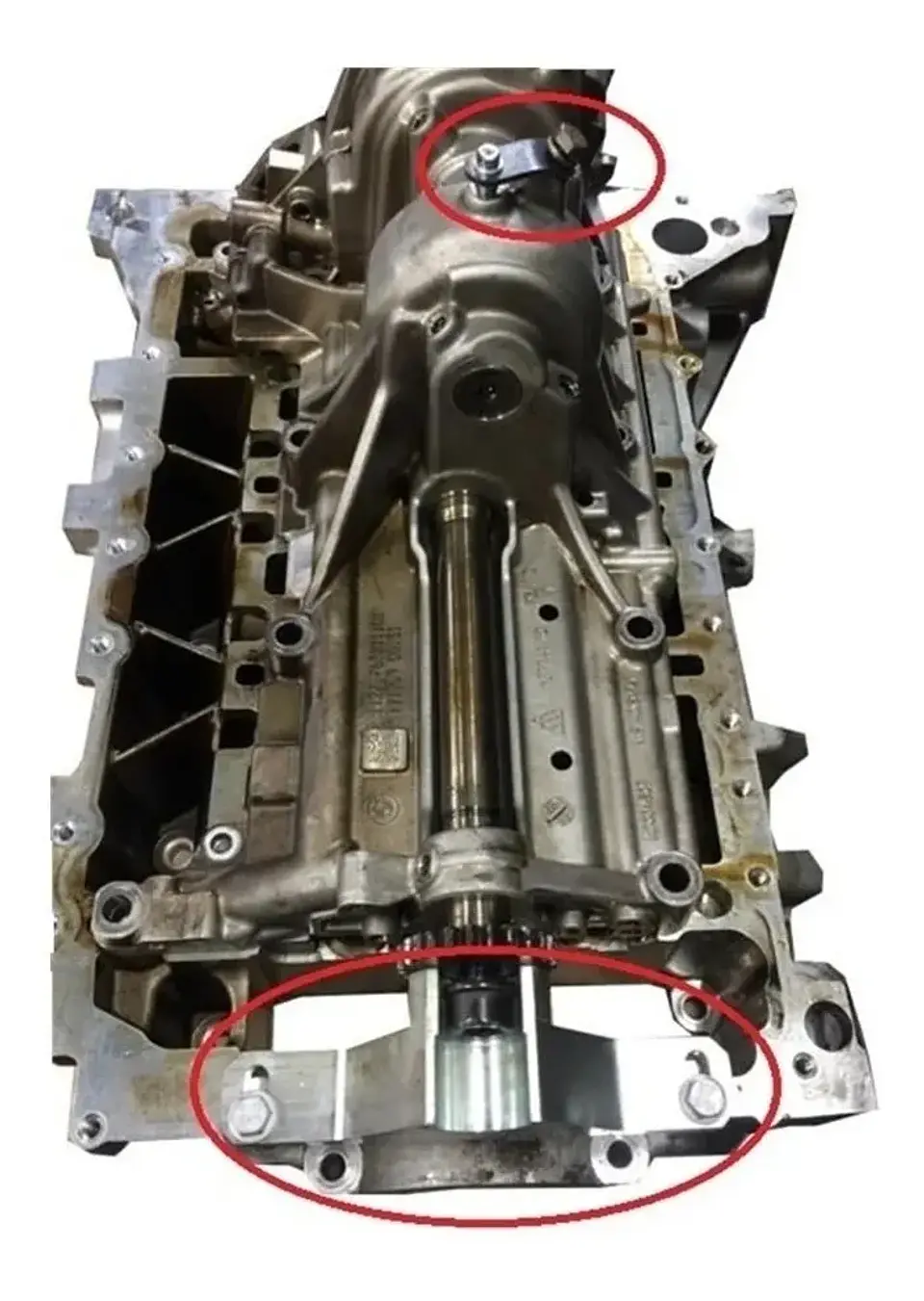 Trabador Puesta Punto Calado Distrib Bmw N20 N26 1.6 2.0 5