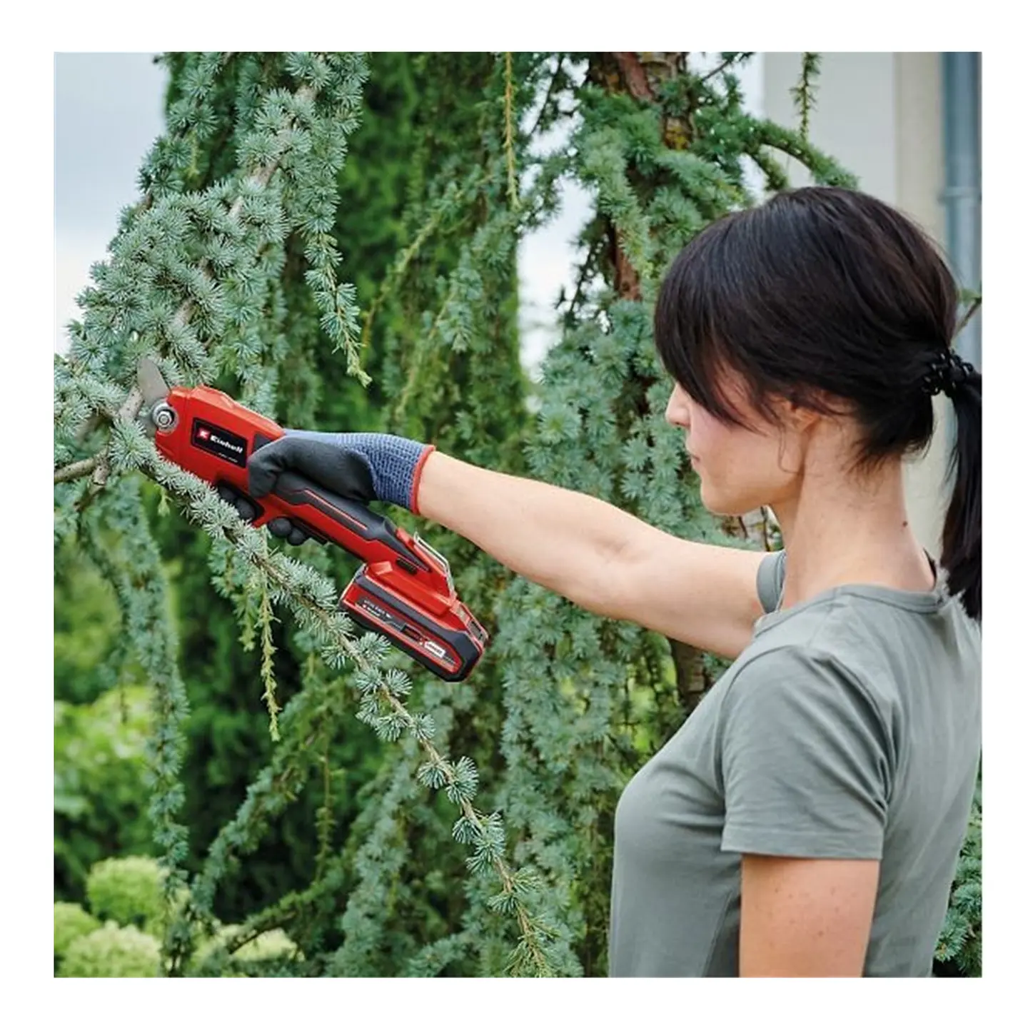 Tijera De Podar Jardin Inalámbrica 18v Bat+ Cargador Einhell 2