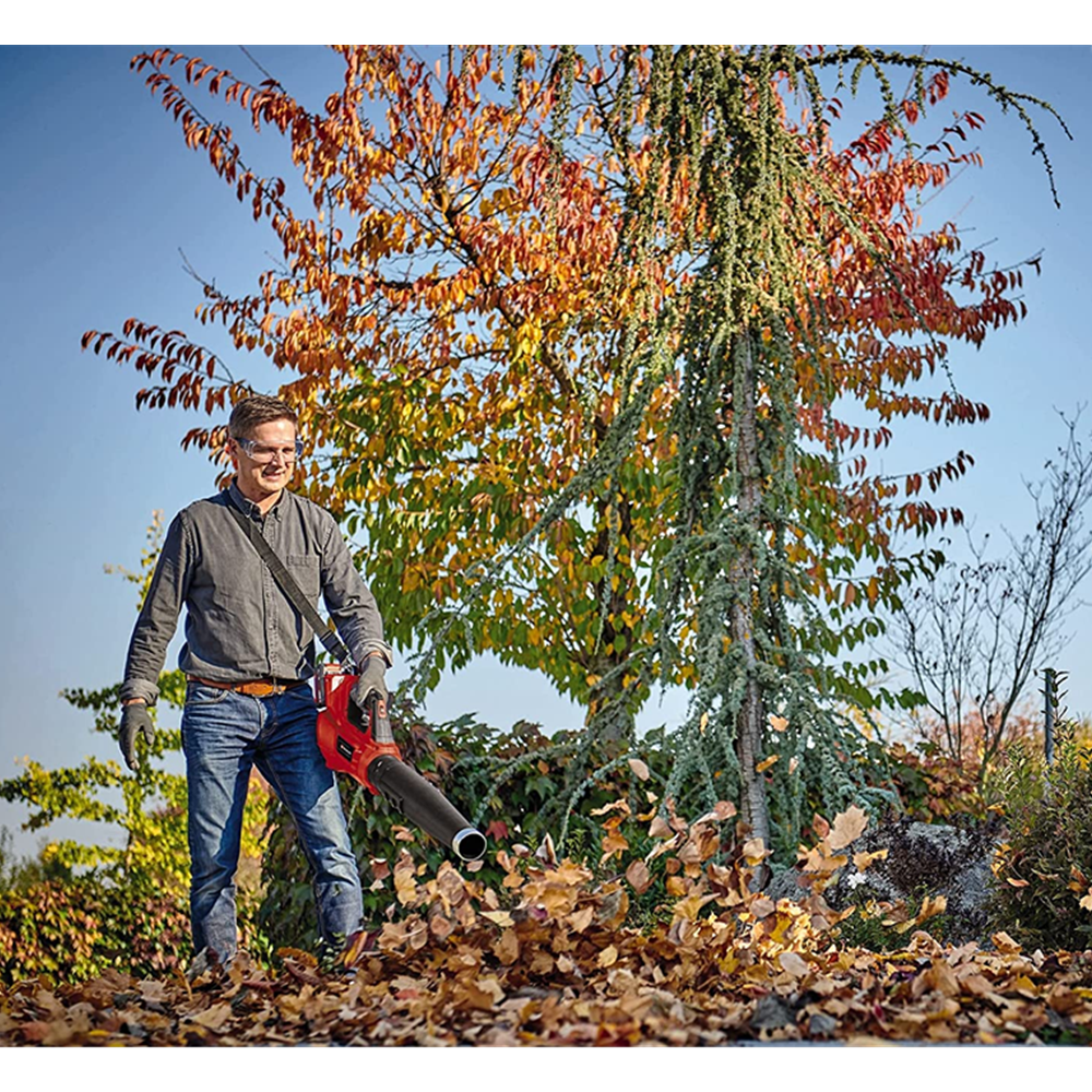 Soplador Inalambrico 36v Bateria+ Cargador Einhell 2