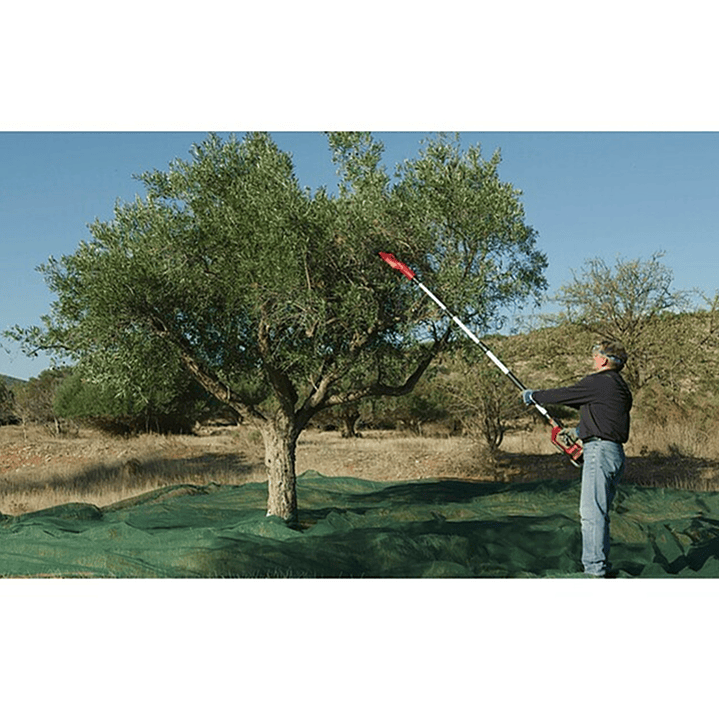 Cosechadora De Frutos Aceitunas Olivos 18v Einhell 2