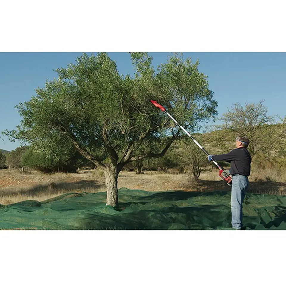 Cosechadora De Frutos Aceitunas Olivos 18v Einhell 2